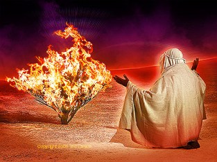 moses-and-the-burning-bush-the-bible-27076046-400-300